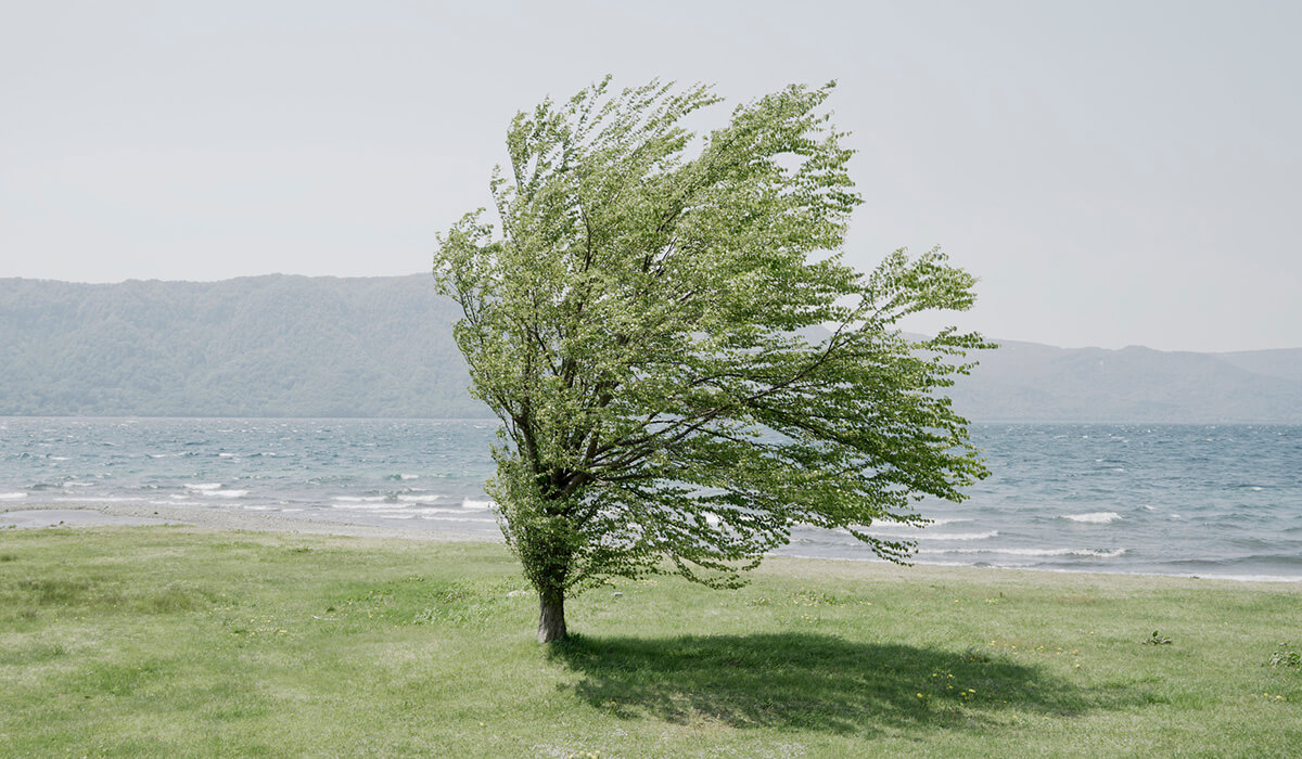 強風時のイメージ