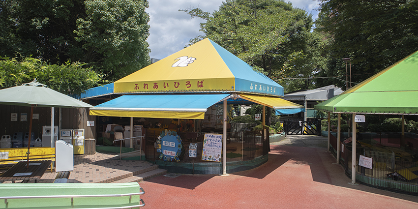 動物園の夏は暑い！来園者と動物のために暑さ対策が必要な理由