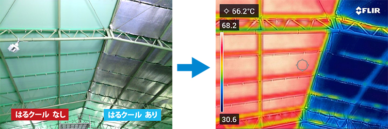 サーモカメラによる温度比較